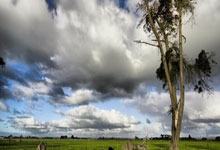 中超俱乐部最新排名榜是怎样的？各队表现背后有哪些故事？