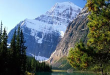 微乐家乡麻将为何如此受欢迎？